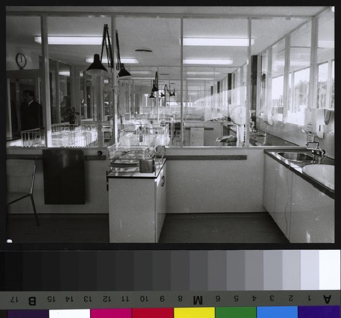 Pavillon des prématurés: salle des couveuses.