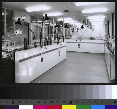 Pavillon des prématurés: salle des couveuses.