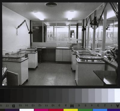 Pavillon des prématurés: salle des couveuses.