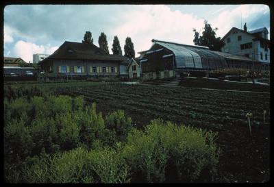 Site du CHUV avant la construction de ce dernier. Bâtiments qui furent détruits et cultures.