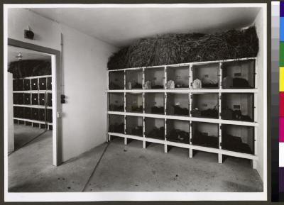 Cages superposées contre une paroi, dans deux salles en enfilade, surmontées d'une réserve de paille, dans l'Institut d'hygiène et de bactériologie, actuel Institut de microbiologie.