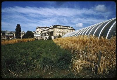 Site du CHUV avant la construction de ce dernier. De droite à gauche sur l'arrière plan, l'hôpital cantonal et le bloc opératoire.