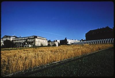Site du CHUV avant la construction de ce dernier. De droite à gauche sur l'arrière plan, l'institut de microbiologie, l'institut de pathologie et l'hôpital cantonal.