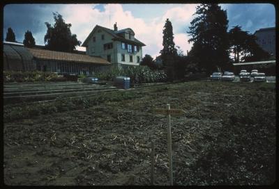 Site du CHUV avant la construction de ce dernier. Bâtiments qui furent détruits et cultures.