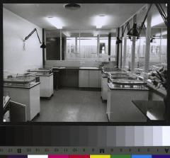 Pavillon des prématurés: salle des couveuses.