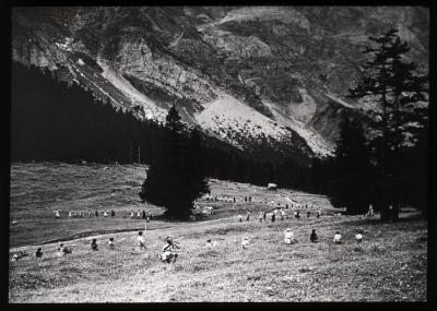 Santé publique: lutte contre la tuberculose (LVT), colonie de vacances à Solalex (Gryon).