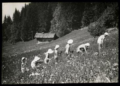 Enfants en culottes dans un champ, qui cueillent des fleurs.