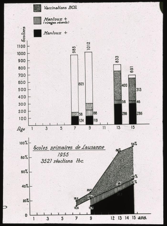 Santé publique: lutte contre la tuberculose, document médical, statistiques, vaccin.