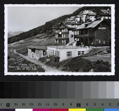 Vues sur la colonie de travail de L'Abeille.