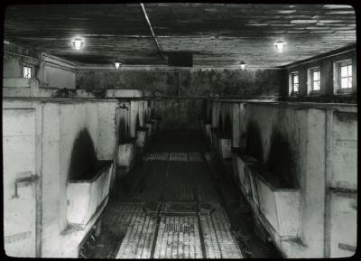 Asile de Cery, vue sur l'intérieur de l'étable à porcs.