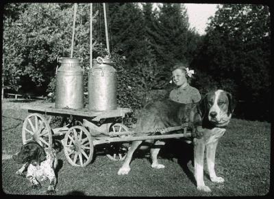 Asile La Rosière à Gimel. Le transport du lait.