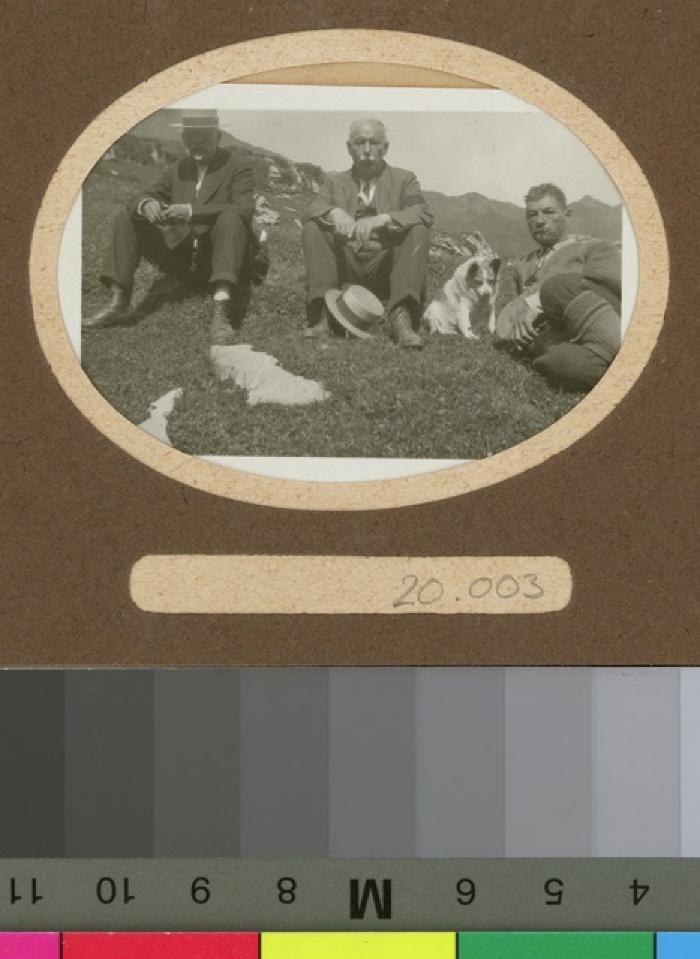 Portrait de trois hommes en excursion à la montagne.