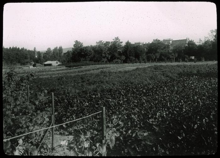 Asile La Rosière à Gimel. Vue sur les jardins.
