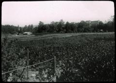 Asile La Rosière à Gimel. Vue sur les jardins.