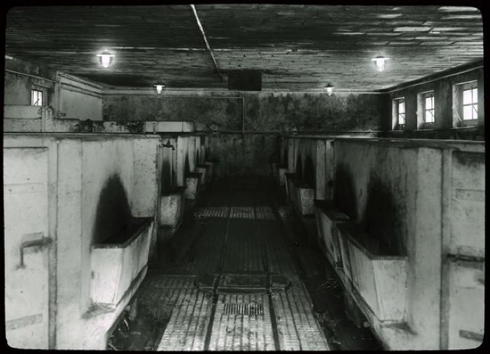 Asile de Cery, vue sur l'intérieur de l'étable à porcs.