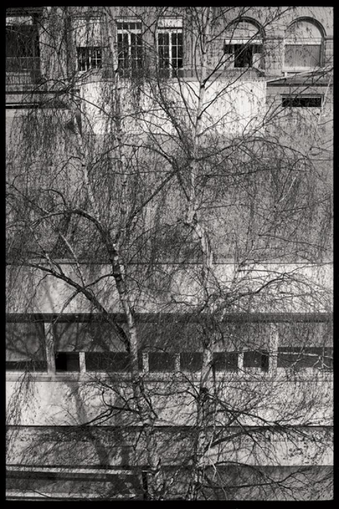 Pavillon des prématurés: vue extérieure de la façade sud.