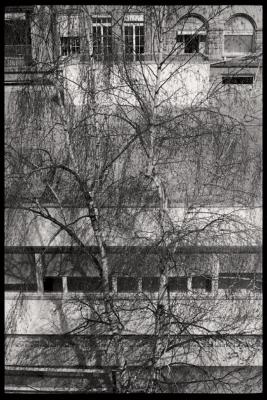 Pavillon des prématurés: vue extérieure de la façade sud.