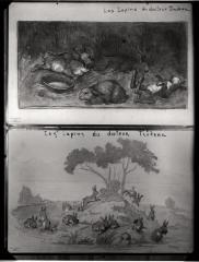 Document pédagogique dédié à l'information du public, exposition itinérante de 1914 (planche).