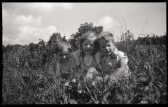 Trois enfants en bonne santé posent au milieu d'une prairie. Ce document était vraisemblablement utilisé pour promouvoir les bienfaits du plein air dans le cadre de la lutte contre la tuberculose.