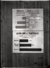 Document pédagogique dédié à l'information du public, statistiques (incidence de la consommation d'alcool et de la présence d'espaces verts).