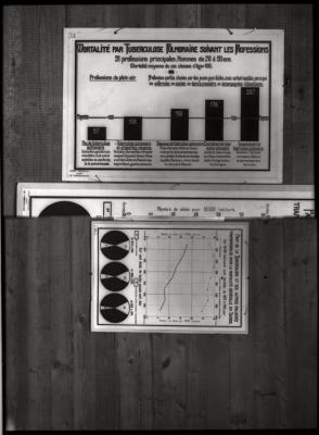 Document pédagogique dédié à l'information du public, statistiques (tuberculose et profession).