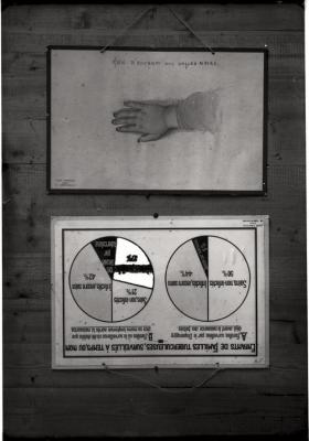 Document pédagogique dédié à l'information du public, statistiques (tuberculose et surveillance médicale).
