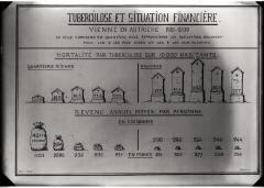 Document pédagogique dédié à l'information du public, statistiques (tuberculose et revenu).