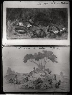 Document pédagogique dédié à l'information du public, exposition itinérante de 1914 (planche).