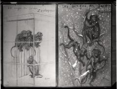 Document pédagogique dédié à l'information du public, exposition itinérante de 1914 (planche).