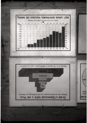 Document pédagogique dédié à l'information du public, statistiques (influence de l'âge et coût de la tuberculose).