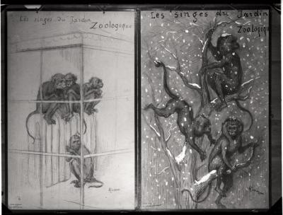 Document pédagogique dédié à l'information du public, exposition itinérante de 1914 (planche).