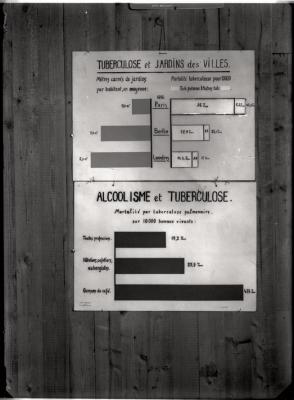 Document pédagogique dédié à l'information du public, statistiques (incidence de la consommation d'alcool et de la présence d'espaces verts).