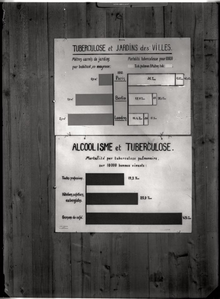 Document pédagogique dédié à l'information du public, statistiques (incidence de la consommation d'alcool et de la présence d'espaces verts).