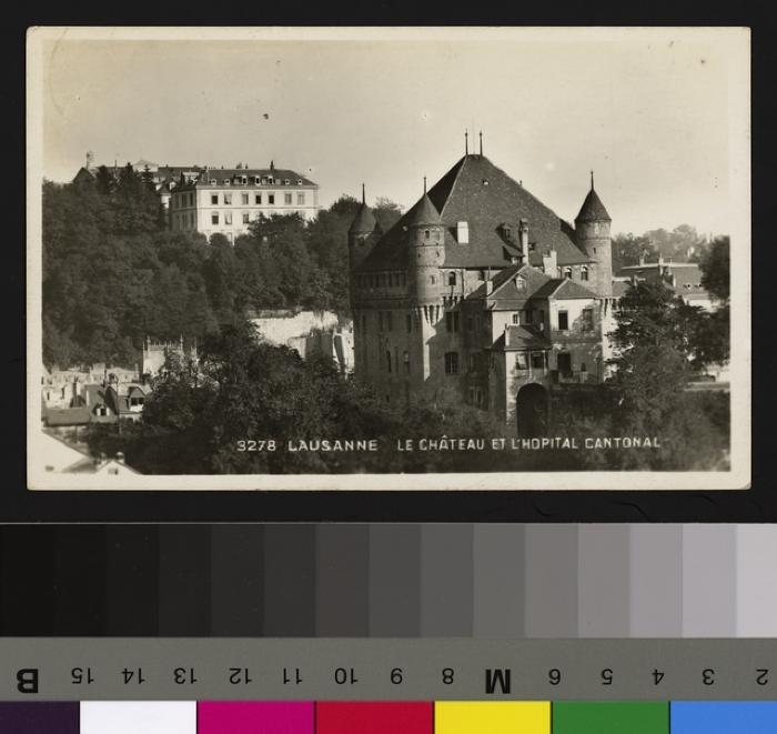 Vue sur le Château Saint-Maire, avec, à l'arrière plan à gauche, l'Hôpital cantonal dont on aperçoit le clocher de l'entrée principale et la façade ouest.