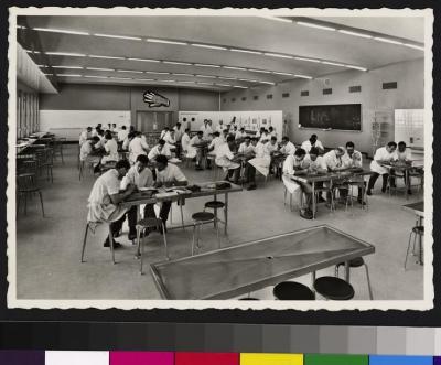 Nouvelle Ecole de médecine (Bugnon), salle de dissection, avec des étudiants travaillant par groupes, assis autour de plusieurs tables.