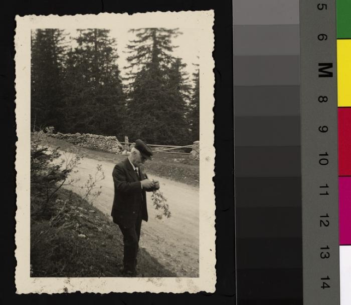 Portrait du Prof. Dr. César Roux âgé, en se promenant. Il est au bord d'un chemin, à la lisière d'une forêt et tient une branche dans sa main.